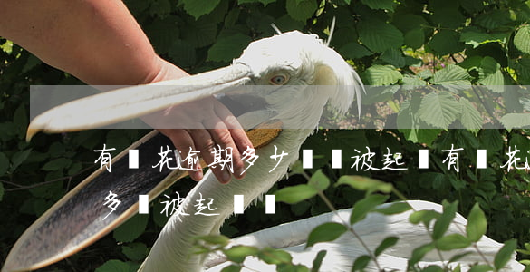 有錢花逾期多少錢會被起訴(有錢花逾期兩千多會被起訴嗎)