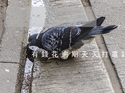 有錢花逾期天天打電話？解決方案在此！