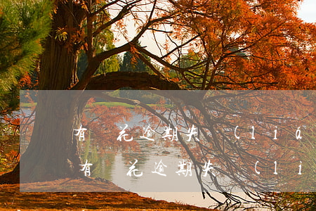 有錢花逾期失聯(lián)為什么不起訴(有錢花逾期失聯(lián)為什么不起訴)