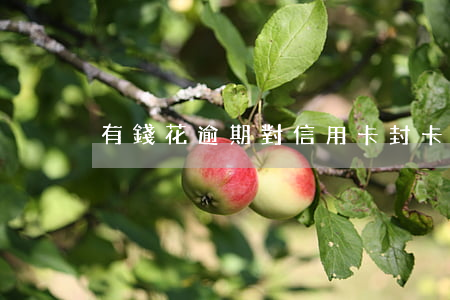 有錢花逾期對信用卡封卡嗎