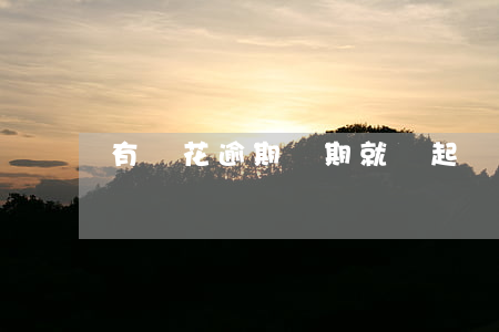 有錢花逾期幾期就會起訴(有錢花逾期一期)