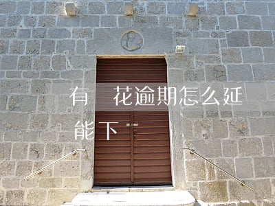 有錢花逾期怎么延長還款(有錢花有過逾期還能下嗎)