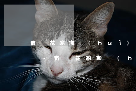 有錢花逾期會(huì)打電話給家里的人嗎-有錢花逾期會(huì)打電話給家里的人嗎是真的嗎