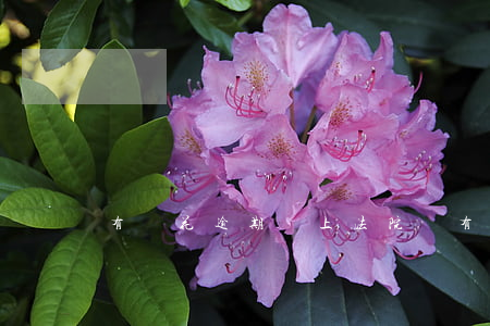 有錢花逾期會上法院嗎(有錢花逾期訴訟真的嗎)