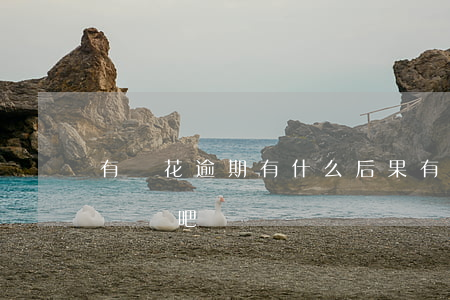 有錢花逾期有什么后果（有錢花的逾期利率高嗎貼吧）