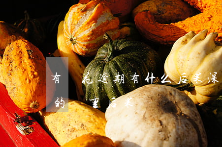 有錢花逾期有什么后果，深入了解：有錢花逾期的嚴重后果！