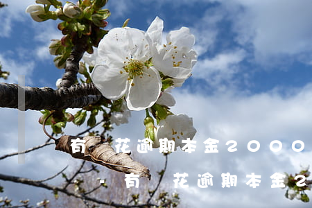 有錢花逾期本金2000會(huì)起訴嗎-有錢花逾期本金2000會(huì)起訴嗎是真的嗎