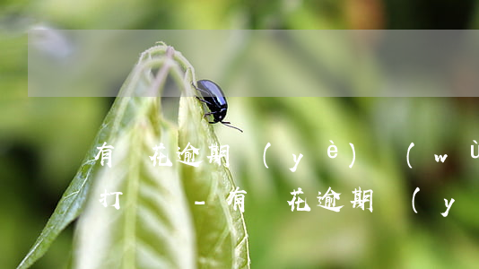 有錢花逾期業(yè)務(wù)員給家里打電話-有錢花逾期業(yè)務(wù)員給家里打電話怎么辦
