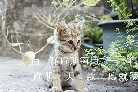有錢花逾期每月還一點(diǎn) 有錢花逾期一天還款額度就翻倍了