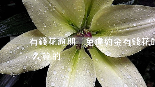 有錢花逾期減免違約金(有錢花的違約金是怎么算的)