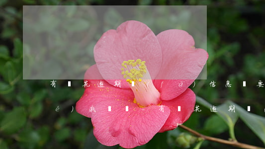有錢花逾期發(fā)信息說要凍結(jié)我賬戶-有錢花逾期發(fā)信息說要凍結(jié)我賬戶是真的嗎