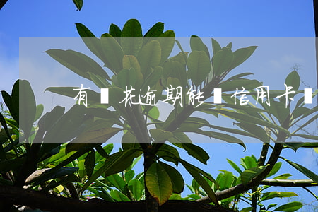 有錢花逾期能辦信用卡嗎