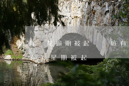 有錢花逾期被起訴開庭(有錢花逾期一個(gè)星期被起訴)