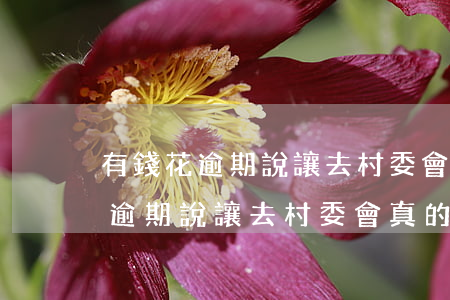 有錢花逾期說讓去村委會真的假的-有錢花逾期說讓去村委會真的假的怎么辦