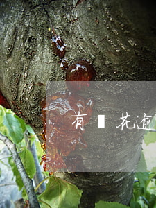 有錢花逾期起訴程序(有錢花逾期起訴成功的)