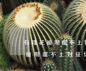 有錢花逾期還不上對征信有問題嗎-有錢花逾期還不上對征信有問題嗎怎么辦
