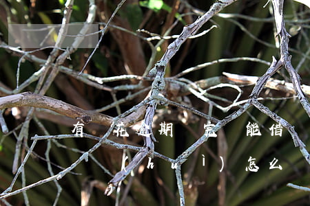 有錢花逾期還完還能借錢嗎（有錢花逾期不還錢會(huì)怎么樣）