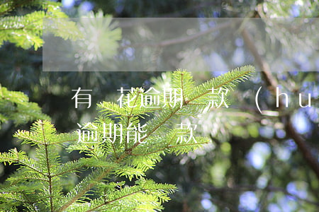 有錢花逾期還款會(huì)怎樣(有錢花有逾期能貸款嗎)