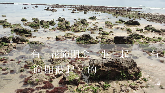 有錢花逾期金額小會起訴嗎(有沒有人有錢花逾期被起訴的)