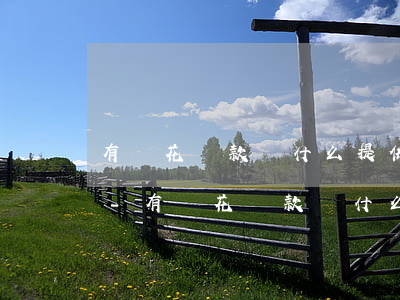 有錢花還款為什么提供銀行賬號(hào)-有錢花還款為什么提供銀行賬號(hào)信息
