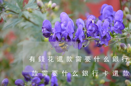 有錢花還款需要什么銀行卡還款-有錢花還款需要什么銀行卡還款呢