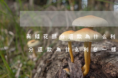 有錢花部分還款為什么利息一樣-有錢花部分還款為什么利息一樣呢