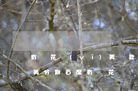 有錢花醫(yī)美貸款逾期了(醫(yī)美分期百度有錢花)