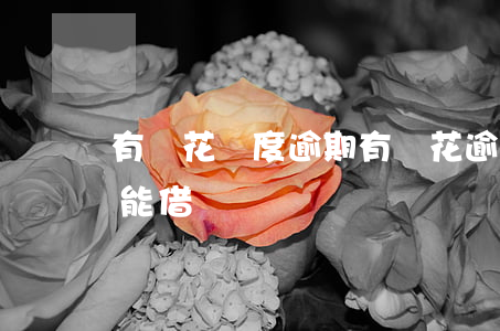有錢花額度逾期(有錢花逾期了還完有額度還能借嗎)