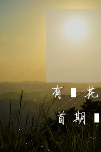 有錢花首期還款為什么不是一個月-有錢花首期還款為什么不是一個月的