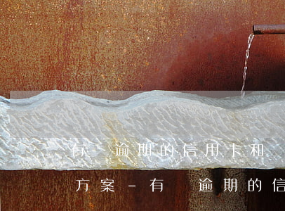 有錢逾期的信用卡和網(wǎng)貸還款方案-有錢逾期的信用卡和網(wǎng)貸還款方案一樣嗎