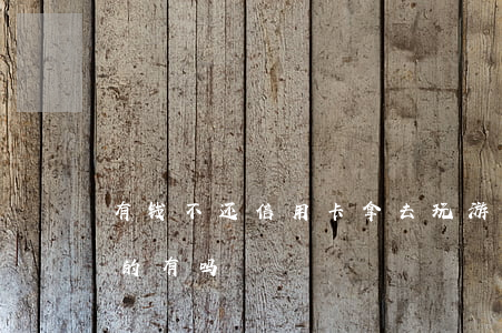有钱不还信用卡拿去玩游戏(用信用卡玩游戏的有吗)