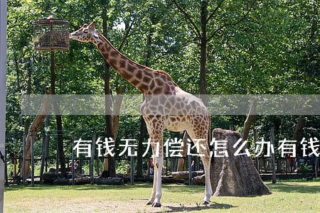 有钱无力偿还怎么办 有钱无力偿还怎么办