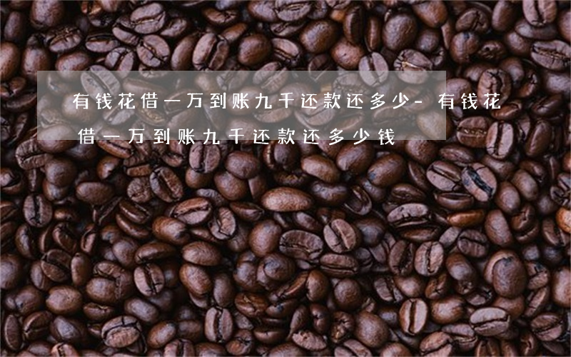 有钱花借一万到账九千还款还多少-有钱花借一万到账九千还款还多少钱