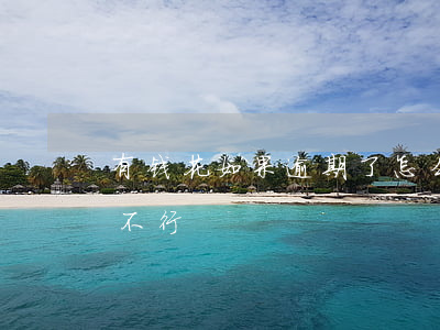 有钱花如果逾期了怎么办(有钱花逾期半天都不行)