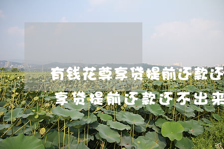 有钱花尊享贷提前还款还不出来-有钱花尊享贷提前还款还不出来怎么办