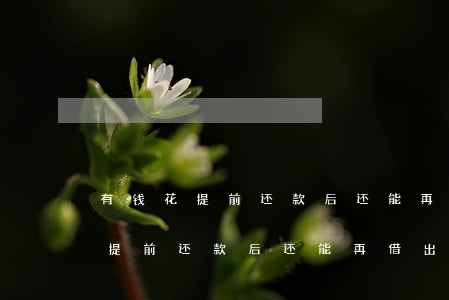 有钱花提前还款后还能再借出来吗-有钱花提前还款后还能再借出来吗安全吗