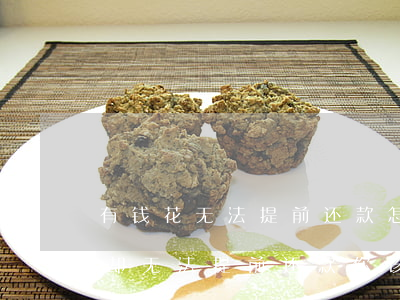 有钱花无法提前还款怎么办，遇到困难：有钱花却无法提前还款，你该怎么办？
