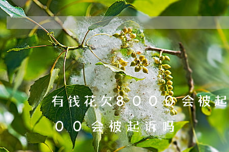 有钱花欠8000会被起诉吗(欠有钱花1500会被起诉吗)