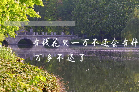 有钱花欠一万不还会有什么后果(有钱花欠1万多不还了)