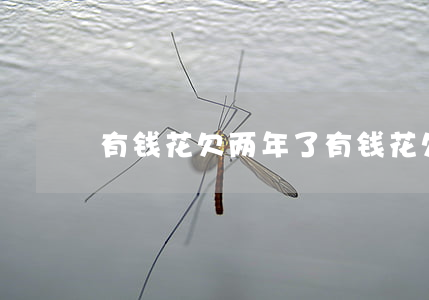 有钱花欠两年了(有钱花欠两万逾期一年)