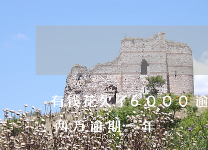 有钱花欠了6000逾期了怎么办(有钱花欠两万逾期一年)