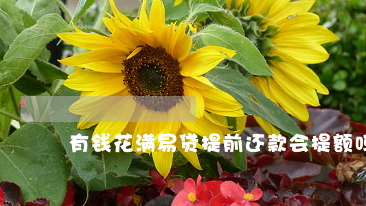 有钱花满易贷提前还款会提额吗-
