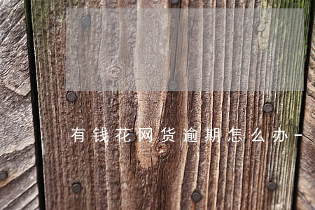 有钱花网货逾期怎么办-有钱花逾期严重吗
