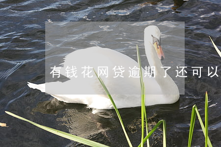 有钱花网贷逾期了还可以分期吗