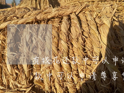 有钱花还款中可以申请尊享贷吗-有钱花还款中可以申请尊享贷吗是真的吗
