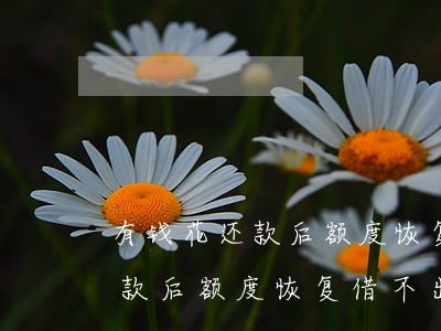 有钱花还款后额度恢复借不出来-有钱花还款后额度恢复借不出来怎么办