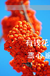 有钱花还款日当天最晚几点还款-有钱花真恶心逾期一天