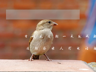 有钱花逾期一天就威胁打老人电话-有钱花逾期给家人打电话骚扰
