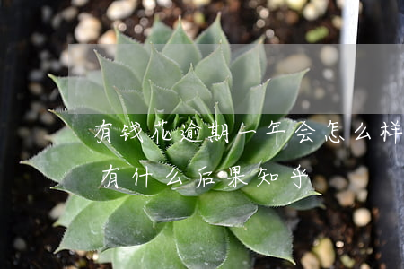 有钱花逾期一年会怎么样（有钱花逾期一天会有什么后果知乎）