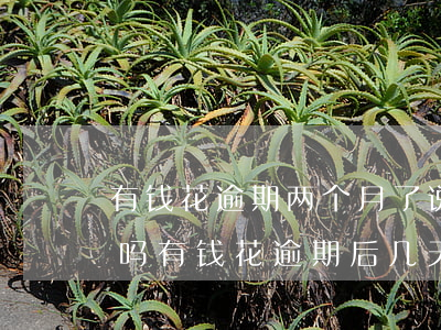 有钱花逾期两个月了,说要立案起诉我是真的吗（有钱花逾期后几天起诉）